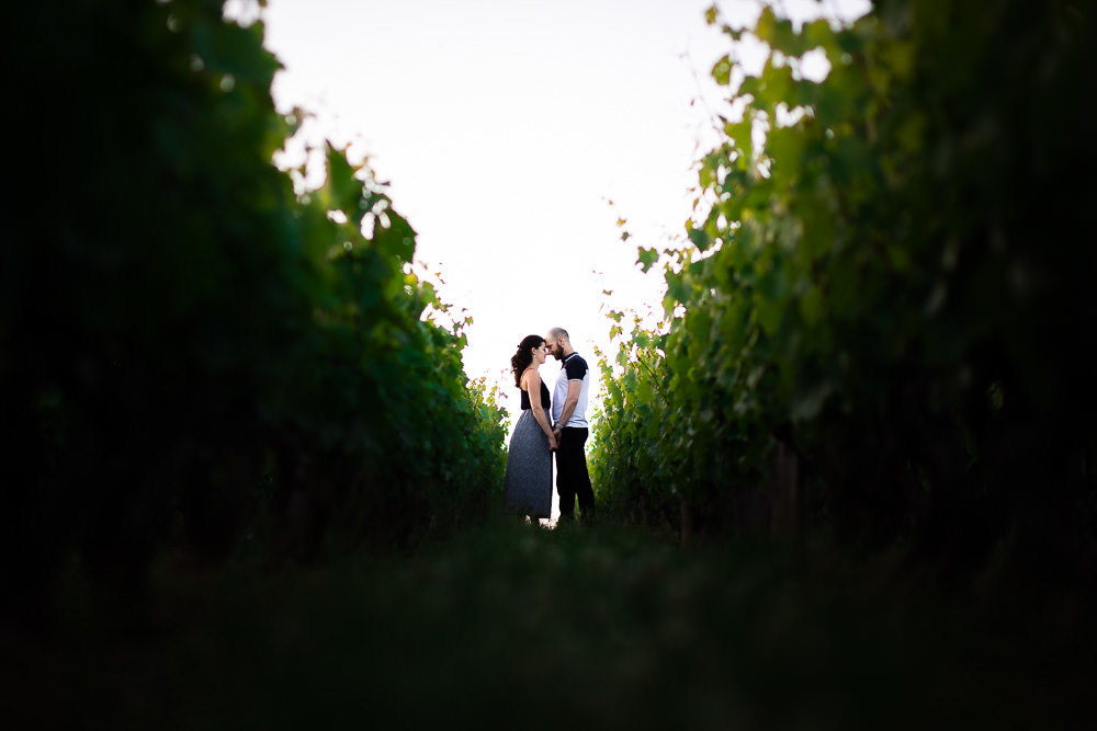 Séance photo en couple dans les vignes du beaujolais